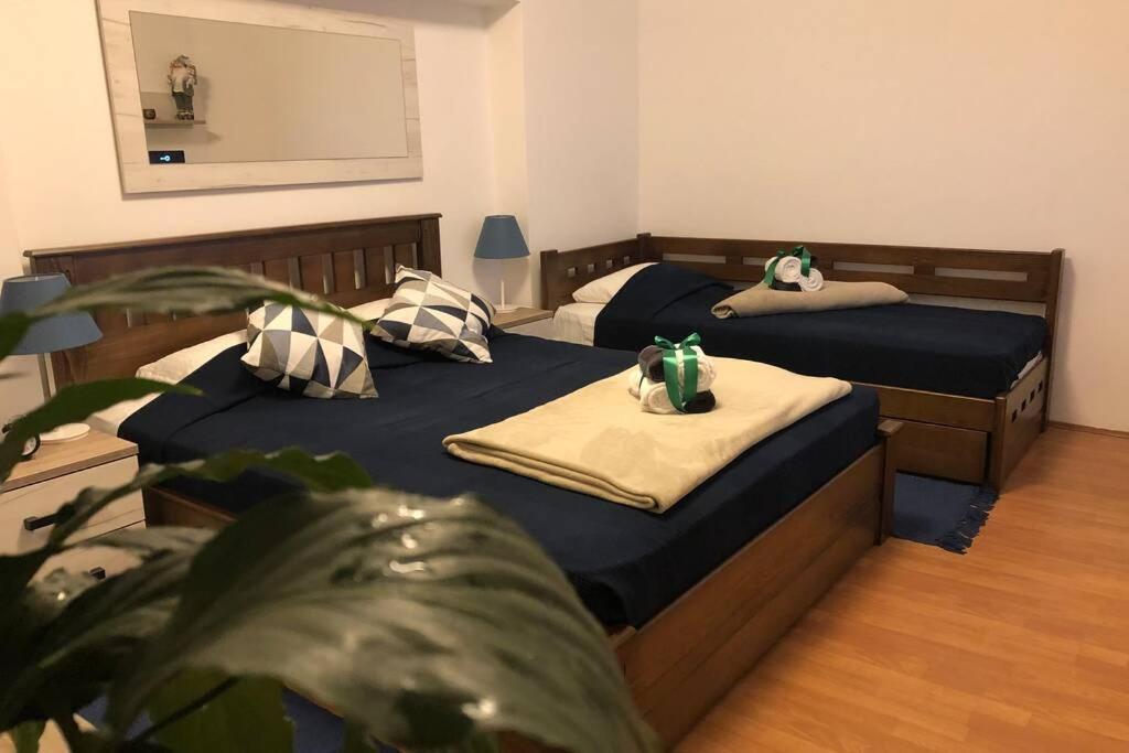 Apartments Balkanska City Center Belgrad Dış mekan fotoğraf